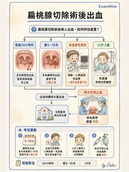 麻醉專護 - 頭頸/耳鼻喉/眼科手術麻醉 - AI 圖文解析預覽