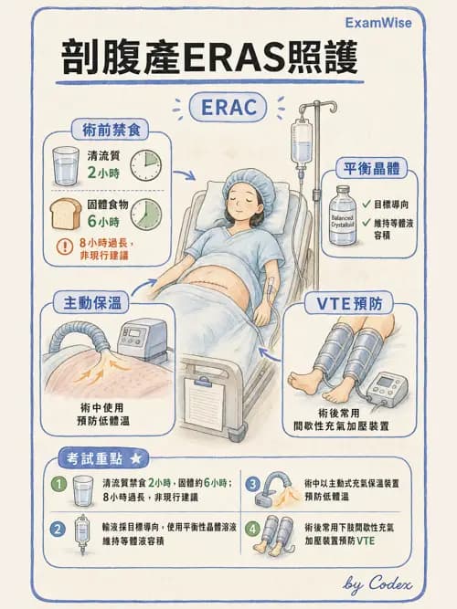 麻醉專護 - 產科麻醉 - AI 圖文解析預覽