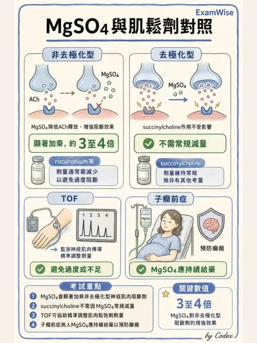 麻醉專護 - 產科麻醉 - AI 圖文解析預覽