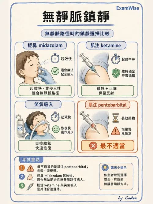 麻醉專護 - 門診手術與內視鏡鎮靜麻醉 - AI 圖文解析預覽