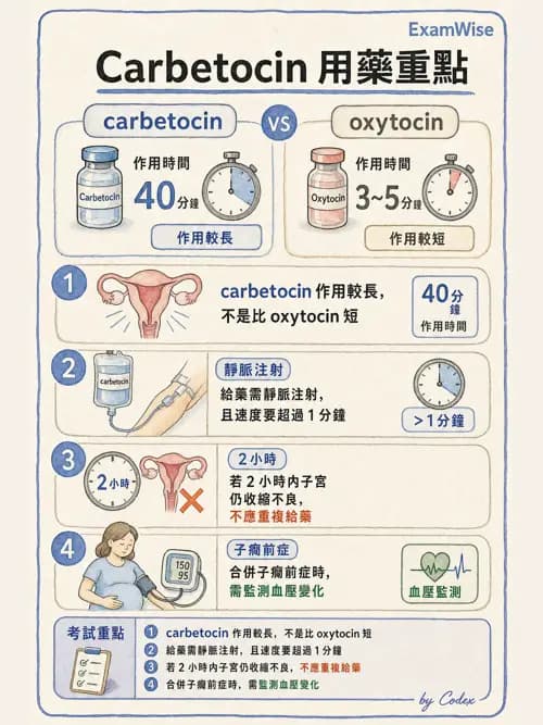 麻醉專護 - 產科麻醉 - AI 圖文解析預覽