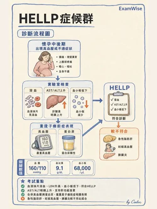 麻醉專護 - 產科麻醉 - AI 圖文解析預覽
