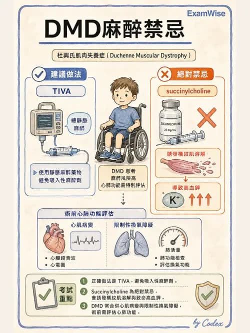 麻醉專護 - 小兒麻醉 - AI 圖文解析預覽