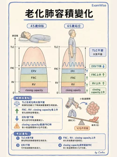 麻醉專護 - 老年麻醉 - AI 圖文解析預覽