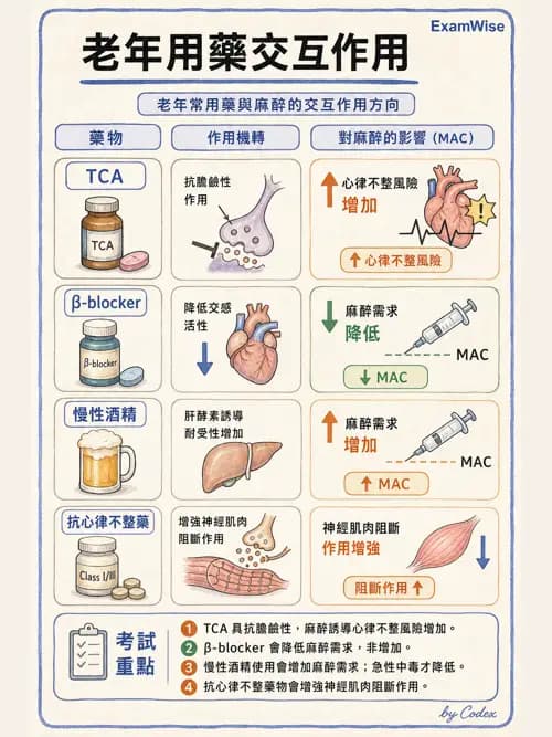 麻醉專護 - 老年麻醉 - AI 圖文解析預覽