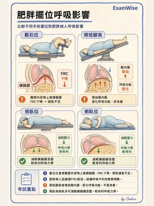 麻醉專護 - 肥胖與減重手術麻醉 - AI 圖文解析預覽