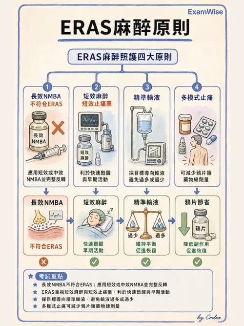ERAS - 術後加速康復 - AI 圖文解析預覽