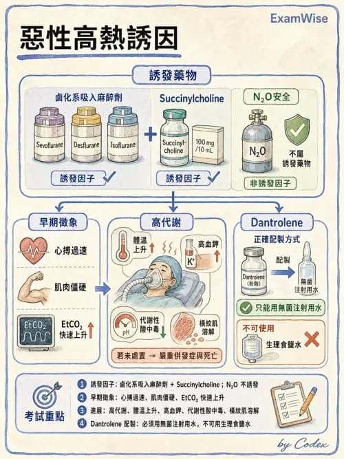 麻醉專護 - 麻醉相關急症 - AI 圖文解析預覽