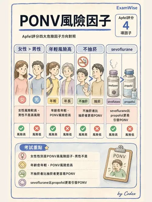 麻醉專護 - PACU照護、PONV與術後寒顫 - AI 圖文解析預覽