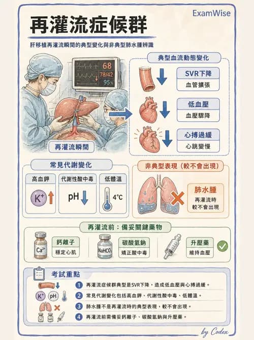 麻醉專護 - 器官移植與腦死捐贈麻醉 - AI 圖文解析預覽
