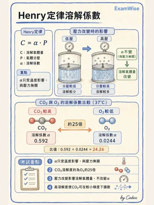 呼吸治療師 - 氣體擴散、交換與肺部代謝 - AI 圖文解析預覽