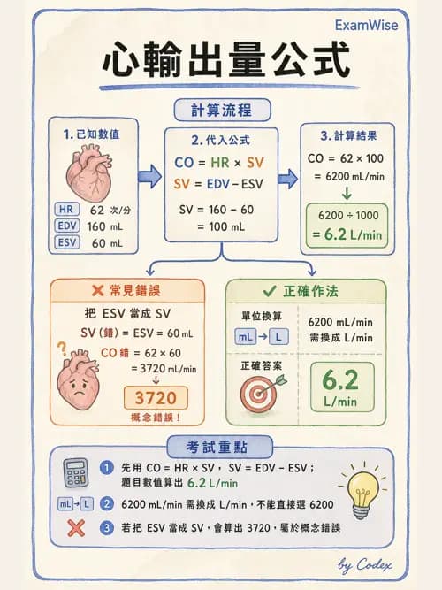 呼吸治療師 - 心臟生理與血液動力學 - AI 圖文解析預覽