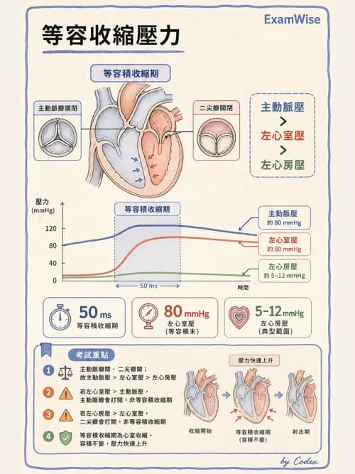 呼吸治療師 - 心臟生理與血液動力學 - AI 圖文解析預覽