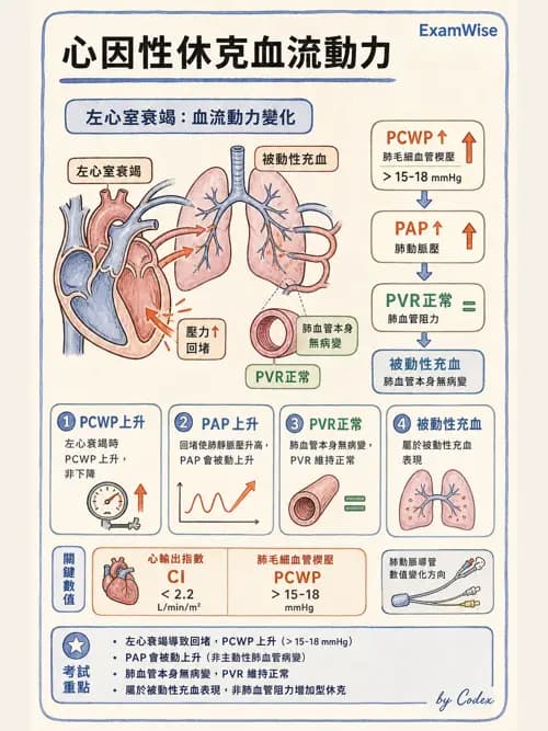 呼吸治療師 - 心臟生理與血液動力學 - AI 圖文解析預覽
