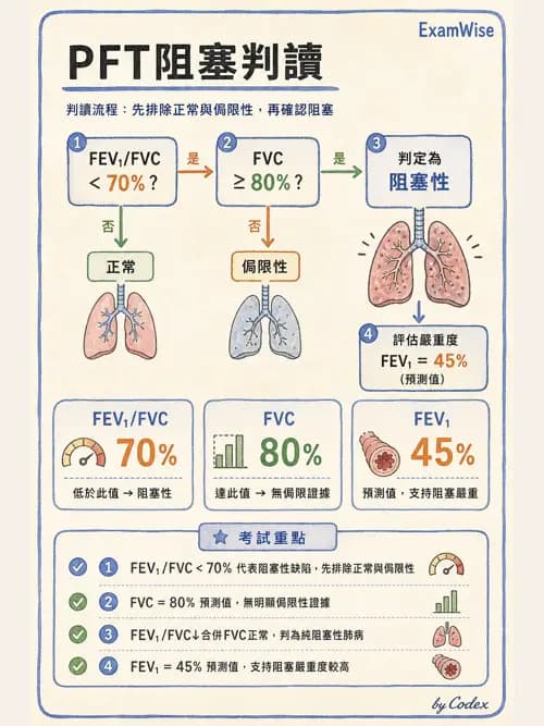 呼吸治療師 - 通氣、呼吸力學與控制 - AI 圖文解析預覽
