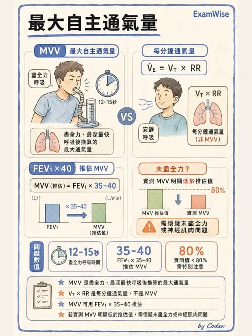 呼吸治療師 - 通氣、呼吸力學與控制 - AI 圖文解析預覽