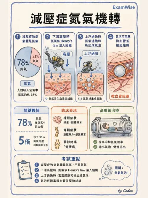 呼吸治療師 - 運動與環境生理 - AI 圖文解析預覽