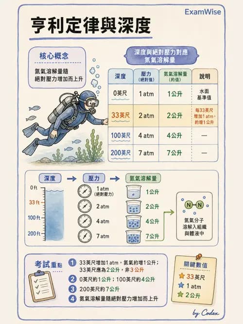 呼吸治療師 - 運動與環境生理 - AI 圖文解析預覽