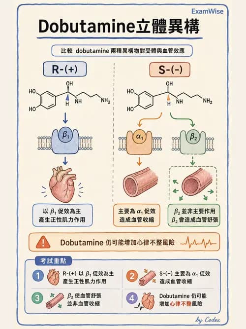 呼吸治療師 - 心臟血管藥物 - AI 圖文解析預覽