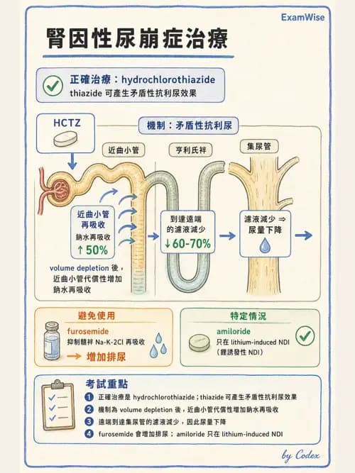 呼吸治療師 - 心臟血管藥物 - AI 圖文解析預覽