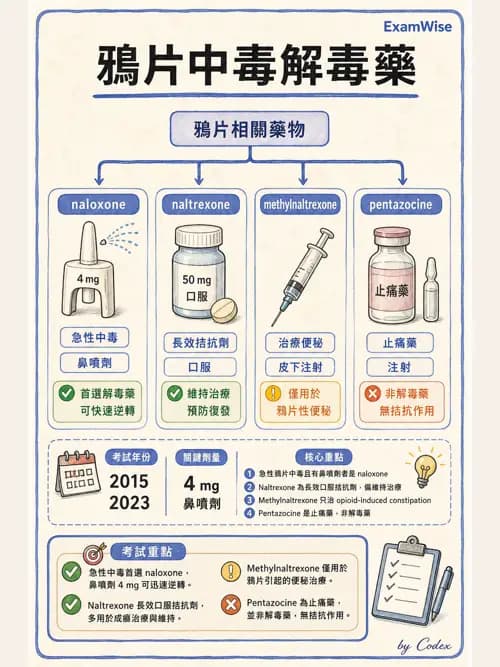 呼吸治療師 - 神經系統藥物 - AI 圖文解析預覽