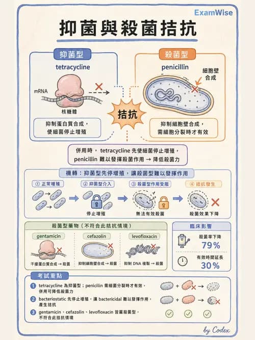 呼吸治療師 - 藥理學概論與抗感染藥物 - AI 圖文解析預覽