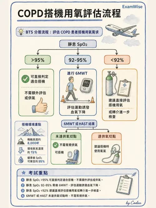 呼吸治療師 - 長期呼吸照護 - AI 圖文解析預覽