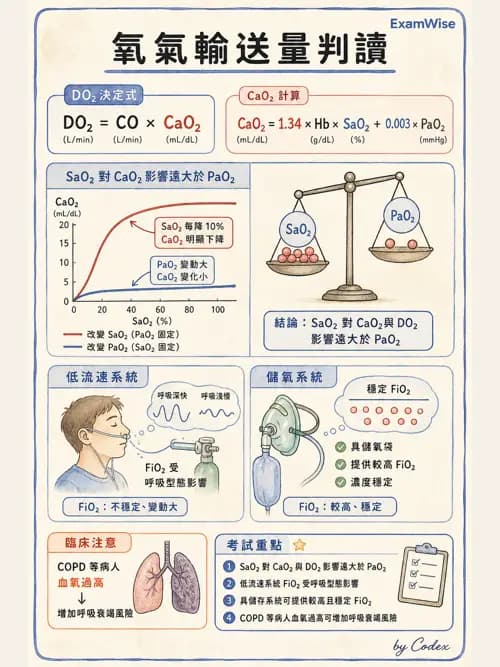 呼吸治療師 - 氣體輸送系統與氧氣治療 - AI 圖文解析預覽