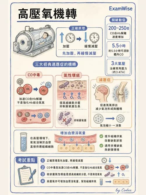 呼吸治療師 - 高壓氧治療 - AI 圖文解析預覽