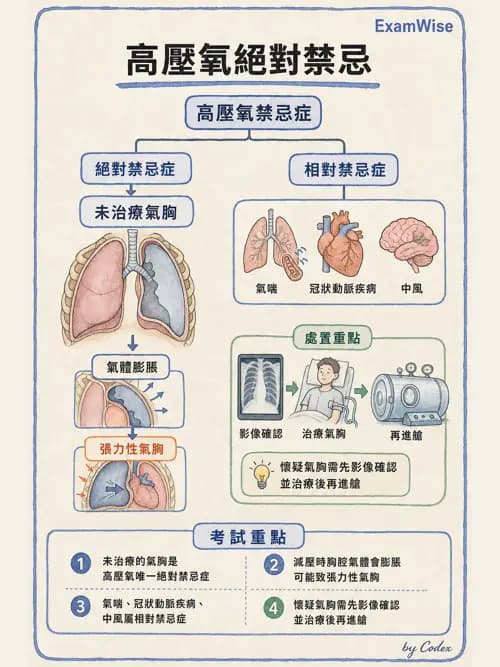 呼吸治療師 - 高壓氧治療 - AI 圖文解析預覽