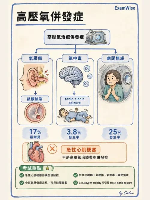 呼吸治療師 - 高壓氧治療 - AI 圖文解析預覽