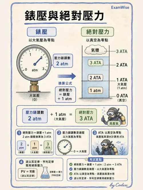 呼吸治療師 - 高壓氧治療 - AI 圖文解析預覽