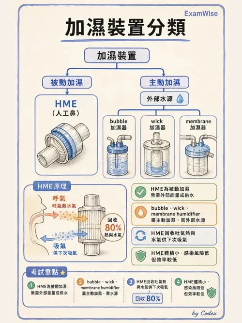 呼吸治療師 - 濕氣與霧氣治療 - AI 圖文解析預覽