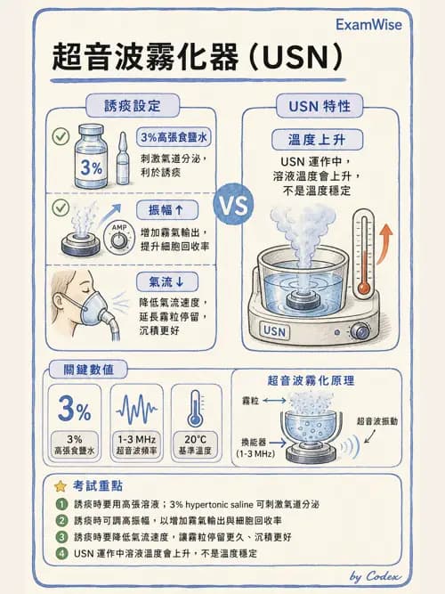 呼吸治療師 - 濕氣與霧氣治療 - AI 圖文解析預覽