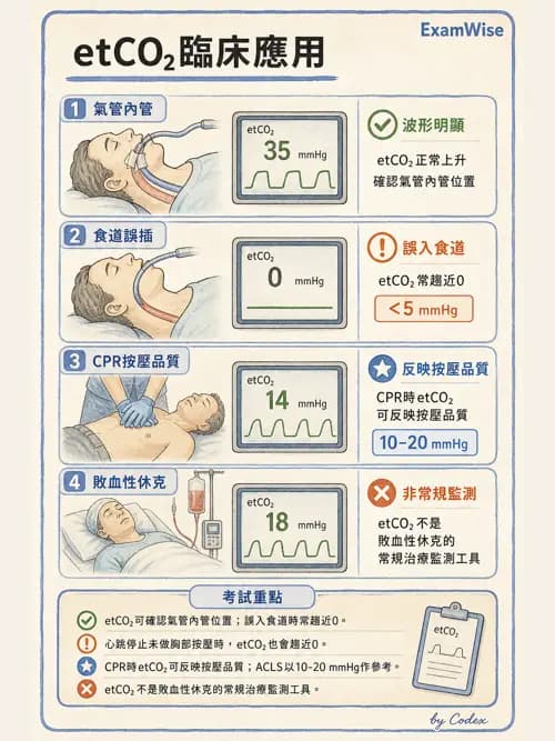 呼吸治療師 - 動脈血液氣體分析與氧合評估 - AI 圖文解析預覽