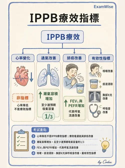 呼吸治療師 - 痰液清除與擴張治療 - AI 圖文解析預覽