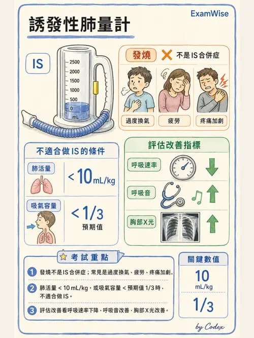 呼吸治療師 - 痰液清除與擴張治療 - AI 圖文解析預覽