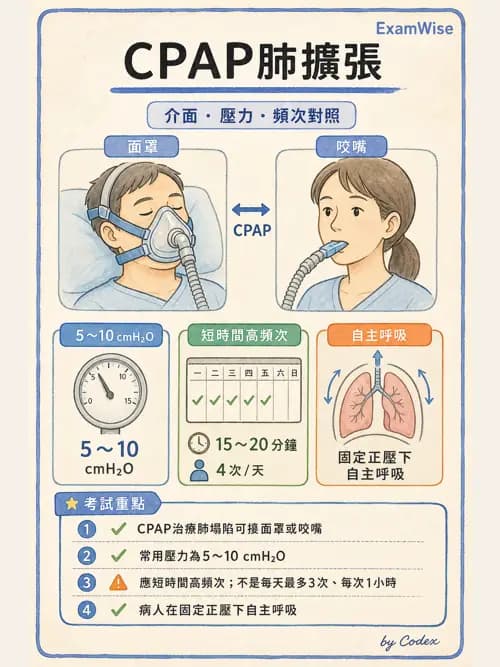 呼吸治療師 - 痰液清除與擴張治療 - AI 圖文解析預覽
