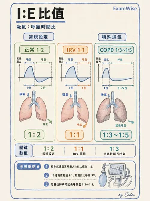 呼吸治療師 - 長期呼吸照護 - AI 圖文解析預覽