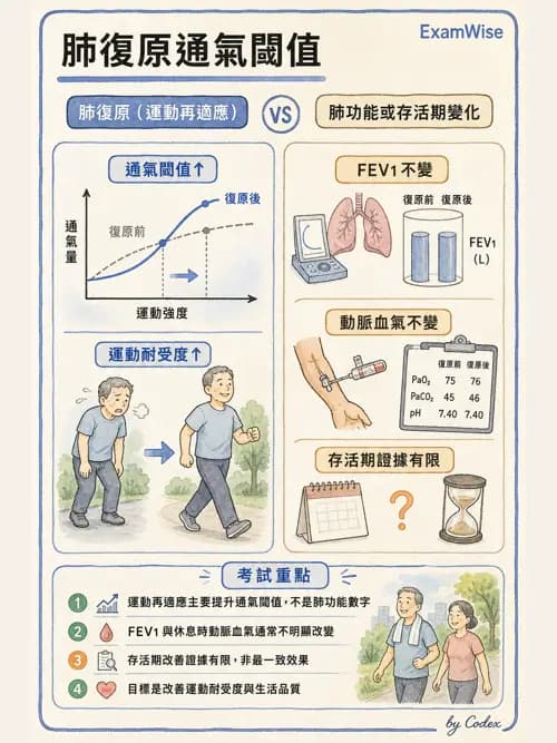 呼吸治療師 - 長期呼吸照護 - AI 圖文解析預覽