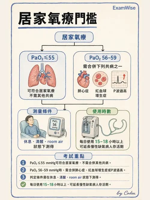 呼吸治療師 - 長期呼吸照護 - AI 圖文解析預覽
