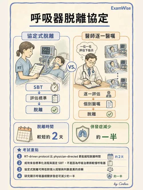 呼吸治療師 - 長期呼吸照護 - AI 圖文解析預覽