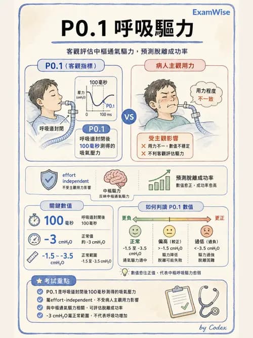 呼吸治療師 - 長期呼吸照護 - AI 圖文解析預覽