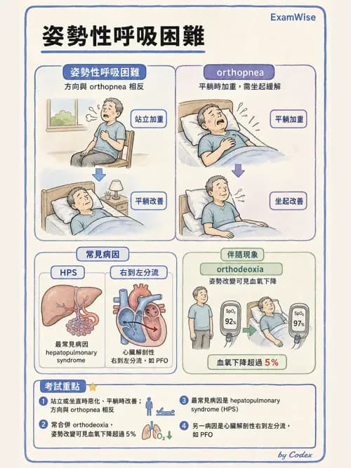 呼吸治療師 - 呼吸治療臨床作業與身體評估 - AI 圖文解析預覽