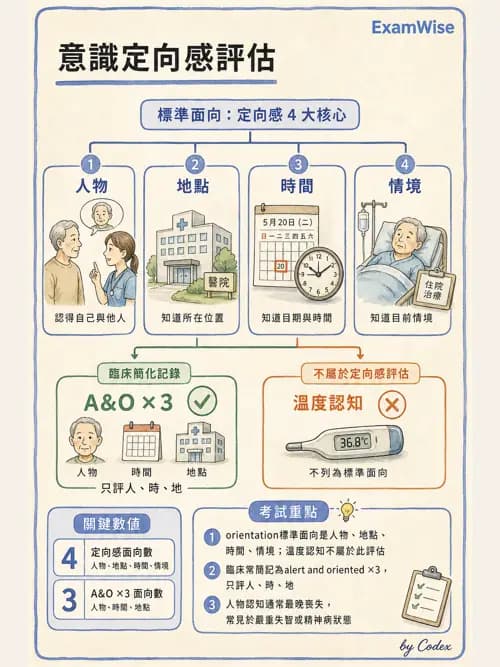 呼吸治療師 - 呼吸治療臨床作業與身體評估 - AI 圖文解析預覽
