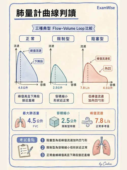 呼吸治療師 - 呼吸功能檢查 - AI 圖文解析預覽