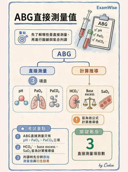 呼吸治療師 - 動脈血液氣體分析與氧合評估 - AI 圖文解析預覽