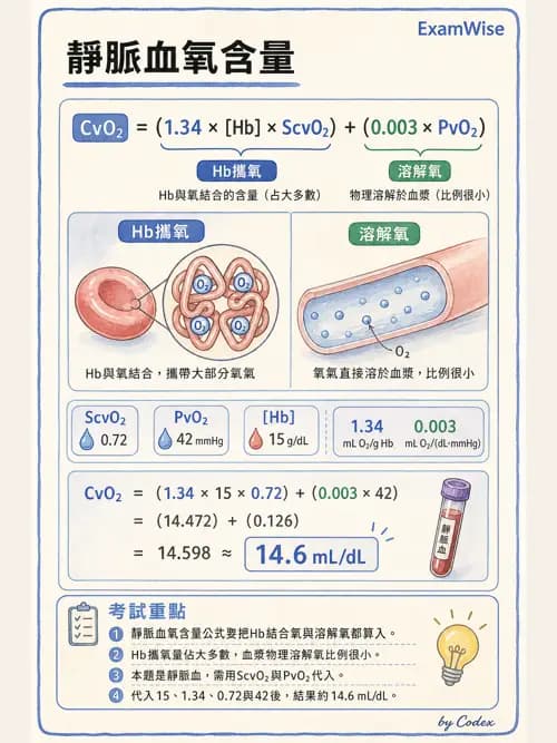 呼吸治療師 - 動脈血液氣體分析與氧合評估 - AI 圖文解析預覽