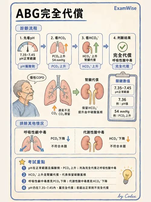 呼吸治療師 - 動脈血液氣體分析與氧合評估 - AI 圖文解析預覽