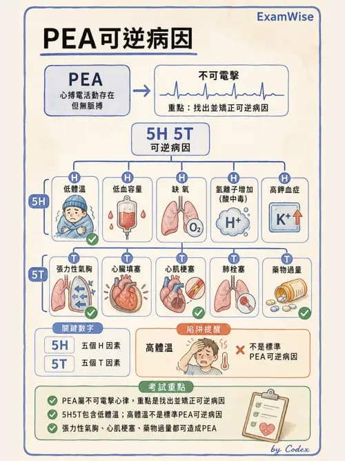 呼吸治療師 - 心血管評估與實驗室檢查 - AI 圖文解析預覽
